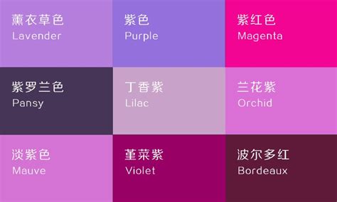 氣場不好怎麼辦 紫色可以配什麼顏色